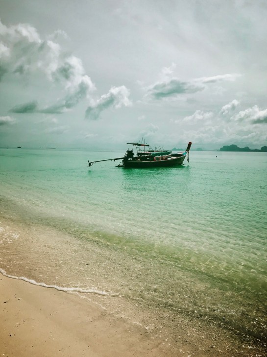 0DCCFC08-1A67-42BF-B752-A8020F2556D0