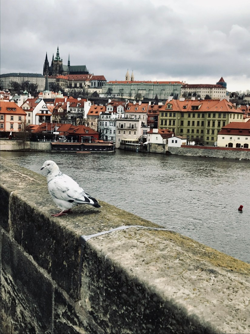 0C1BE6C6-6369-425A-8FB9-D6F8B83049CD