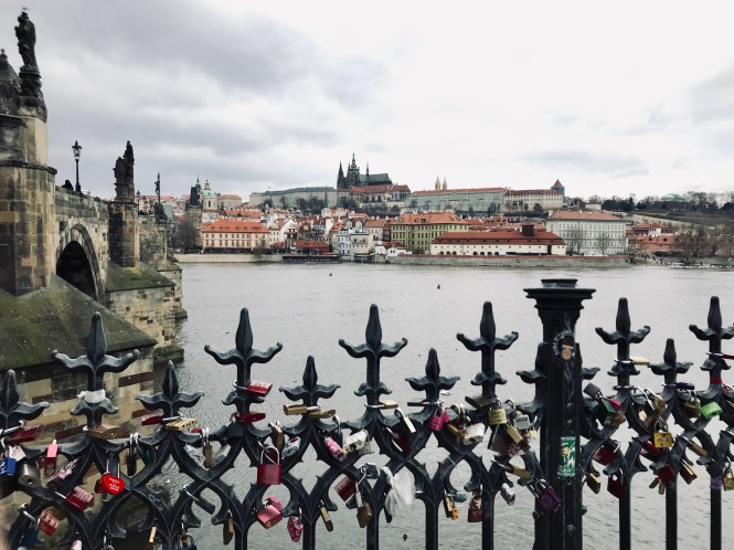 CC2DF9F3-8133-4DC8-AE92-9883E369A1F2