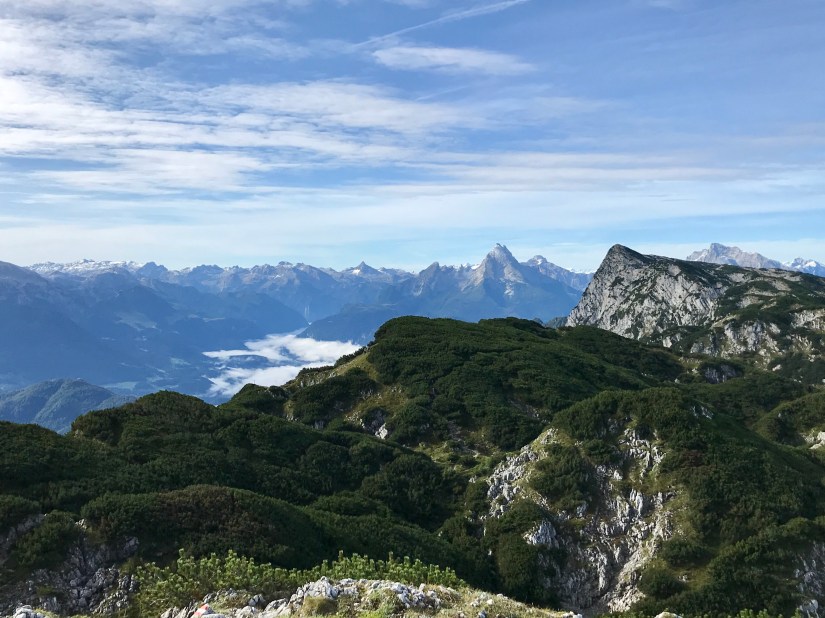 07B6F0A8-D9F2-495D-B594-526F1095B4F1