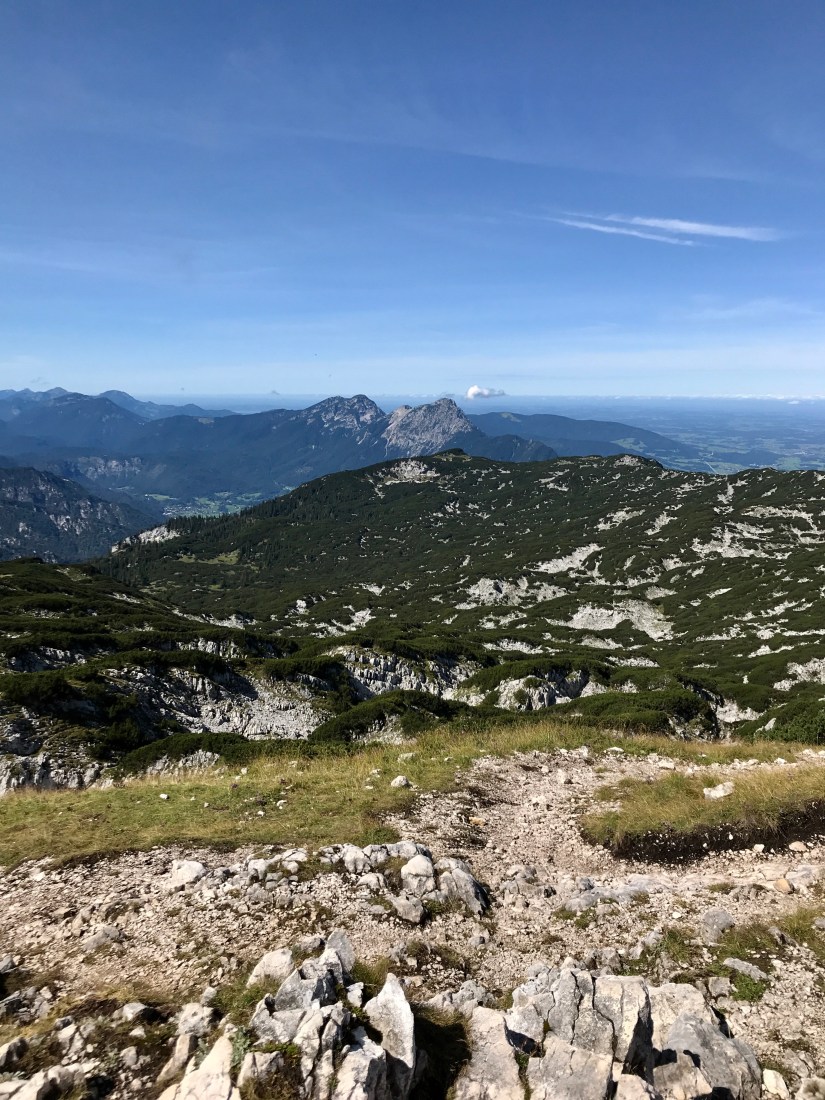 10AF3390-F6E9-4044-A9E1-D2E303C5BB36