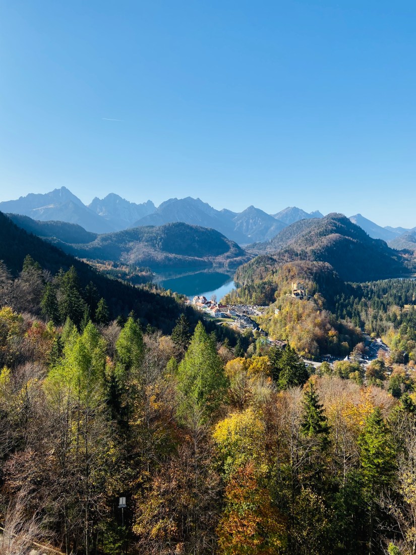 364A7F3D-BFA9-47D1-89C2-510416495B01