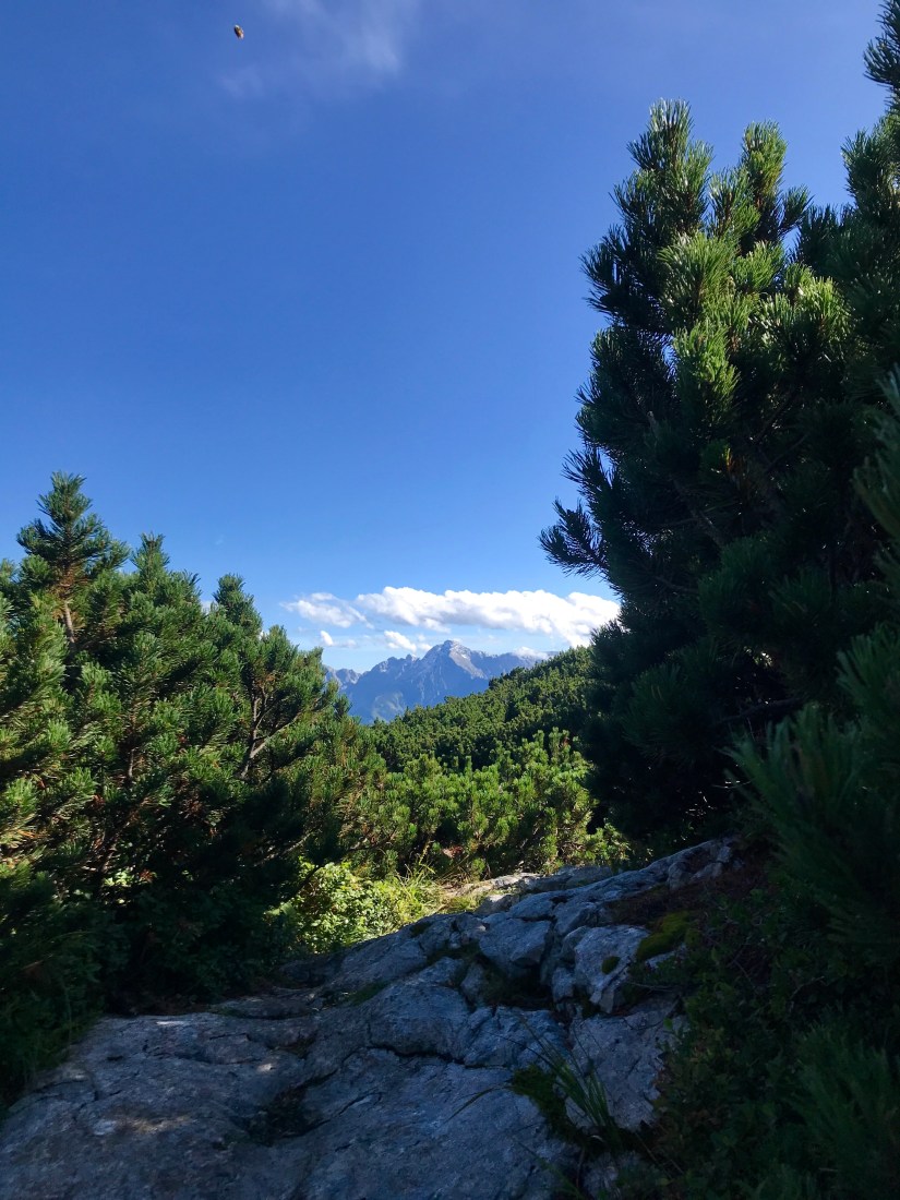 7A236ED2-A5E4-4AD5-8EF9-113EDC2F0577