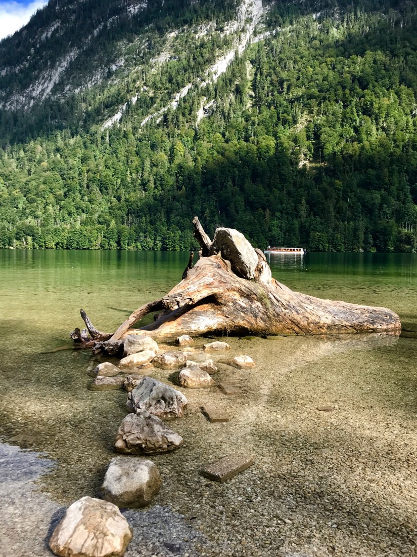 9AC958F0-A699-4ED0-83CC-1F80ACA6DD19