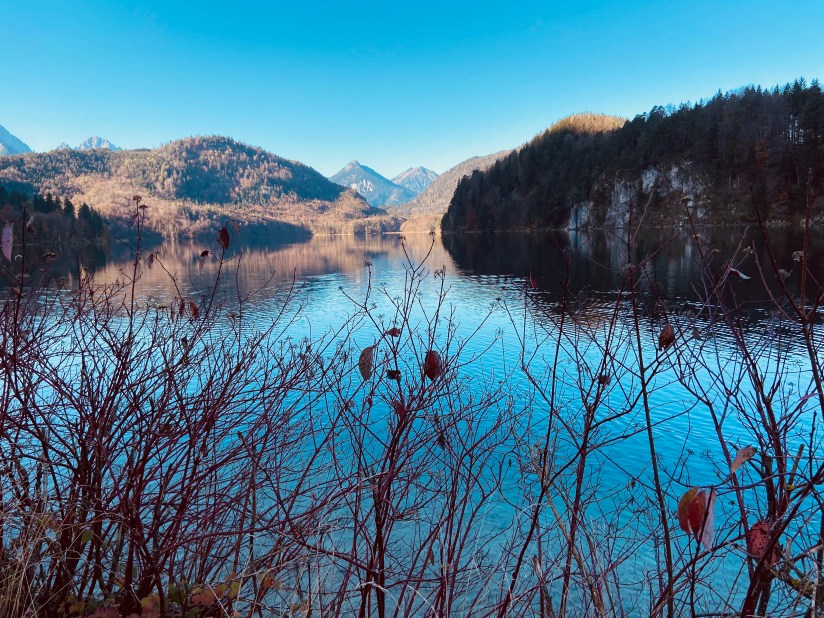 D223A964-1698-4B34-B41F-BA69EC828AD9