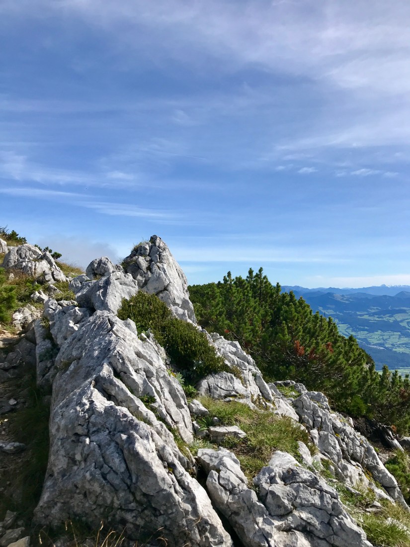 E58F8396-B3D6-408C-B13D-9E8C26C707B4